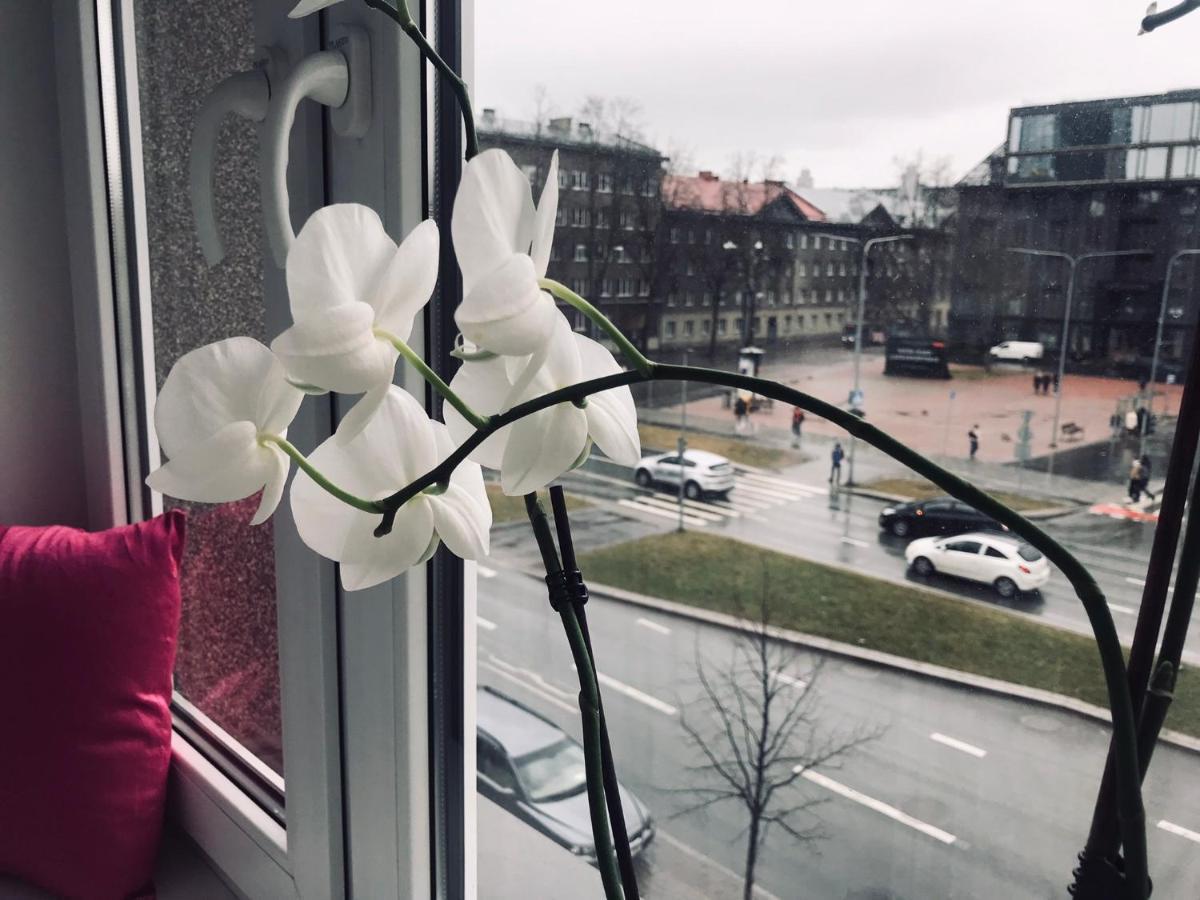 Cozy Central Apartment Tallinn Ngoại thất bức ảnh